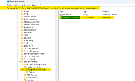 🛡️ Windows 11 – La sauvegarde automatique du registre… c’est FINI ! ⚠️