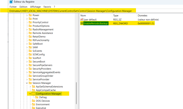 🛡️ Windows 11 – La sauvegarde automatique du registre… c’est FINI ! ⚠️